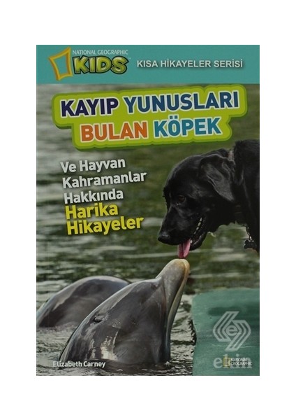 Kayıp Yunusları Bulan Köpek