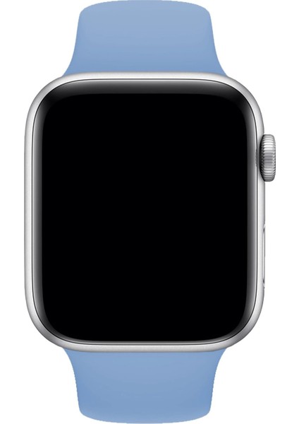 Apple Watch Uyumlu 3 4 5 6 7 8 Se Delikli 38 40 41MM Kordon Kayış Bileklik Klasik Silikon fiyatları