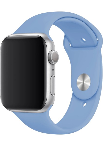 Apple Watch Uyumlu 3 4 5 6 7 8 Se Delikli 38 40 41MM Kordon Kayış Bileklik Klasik Silikon modelleri