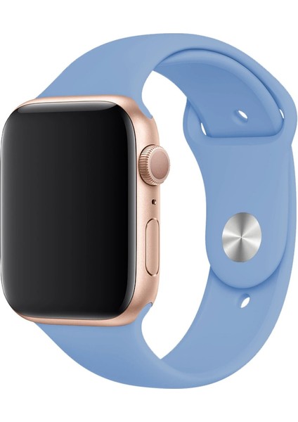Apple Watch Uyumlu 3 4 5 6 7 8 Se Delikli 38 40 41MM Kordon Kayış Bileklik Klasik Silikon indirimleri