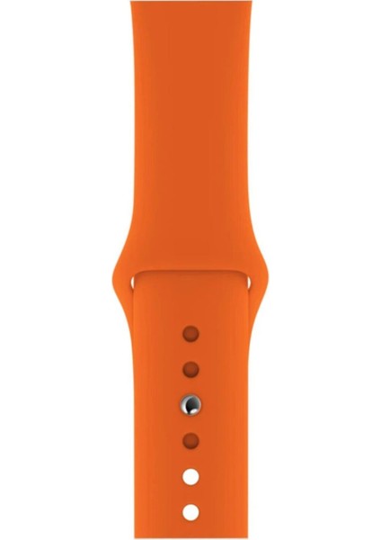 Apple Watch Uyumlu 3 4 5 6 7 8 Se Delikli 42 44 45MM Kordon Kayış Bileklik Klasik Silikon