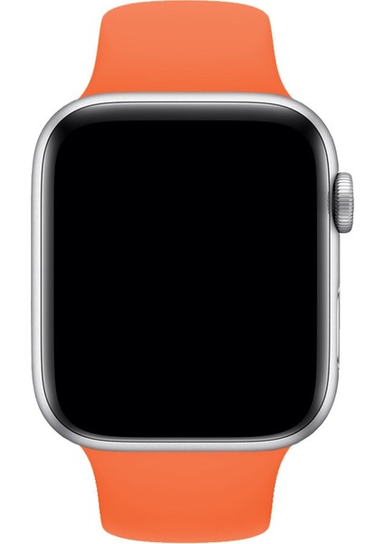 Apple Watch Uyumlu Kordon 2 3 4 5 6 Se Seri 42 mm ve 44 mm Silikon Kordon Kayış