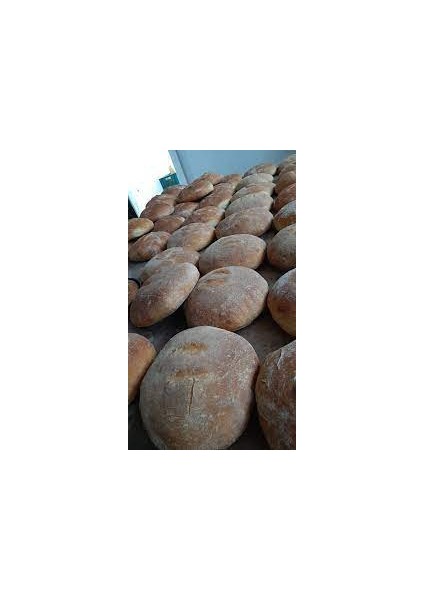 Ekşi Mayalı Patatesli Köy Ekmeği 1,6 kg fiyatları