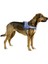 Belden Köpek Tasması Maestro 2.0 L 64-90 cm x 25 mm 2