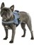 Belden Köpek Tasması Maestro 2.0 M 57-77 cm x 20 mm 2