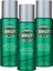 Orijinal 3*200 ml Erkek Sprey Deodorant 1