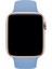 Apple Watch Uyumlu 3 4 5 6 7 8 Se Delikli 38 40 41MM Kordon Kayış Bileklik Klasik Silikon 4