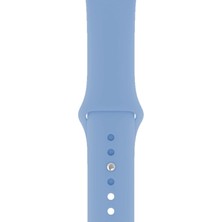 Pazariz Apple Watch Uyumlu 3 4 5 6 7 8 Se Delikli 38 40 41MM Kordon Kayış Bileklik Klasik Silikon