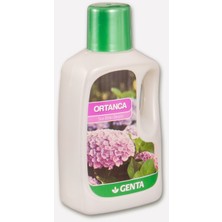 Genta Ortanca Için Sıvı Besin