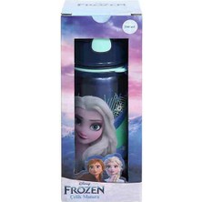 Frozen Salto Wild Spirited Çelik Matara 500 ml 42070