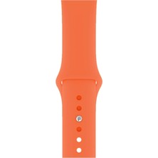Pazariz Apple Watch Uyumlu 3 4 5 6 7 8 Se Delikli 38 40 41MM Kordon Kayış Bileklik Klasik Silikon