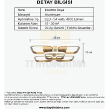 TT Aydınlatma TT302-4+1-ESK Kare Tt Aydınlatma Eskitme Boyalı 5 Li LED Avize
