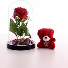 Home Dekor Hediye Sevgiliye Eşe Sürpriz Hediye Fanusta LED Işıklı Kırmızı Gül ve Kırmızı Mini Ayıcık Set Sevgiliye