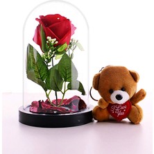 Home Dekor Hediye Sevgiliye Eşe Sürpriz Hediye Fanusta Kırmızı Gül ve Mini Ayıcık Set Sevgiliye Hediye