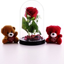 Home Dekor Hediye Sevgiliye Eşe Sürpriz Hediye Fanusta LED Işıklı Kırmızı Gül ve 2 Adet Mini Ayıcıklar Set Sevgiliye