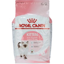 Royal Canin Kitten Kuru Kedi Maması, Yavru Kedi, 4 kg