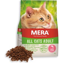 Mera Adult Tahılsız Somonlu Yetişkin Kedi Maması 10 kg