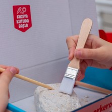 arkerobox Kapadokya Eğitici Kazı Seti | Koleksiyon Serisi