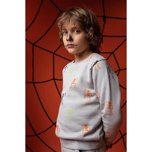 Erkek Çocuk Halloween Temalı Bisiklet Yaka Sweatshirt Y2323A622WN