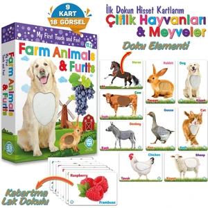 Circle Toys Dokun Hisset Çiftlik Hayvanları ve Meyveler