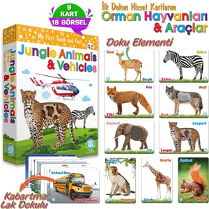 Circle Toys Dokun Hisset Orman Hayvanları ve Araçlar