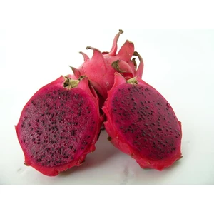 Berke Fidancılık Thai Red (Özel Tür) Ejder Meyvesi Pitaya Fidanı
