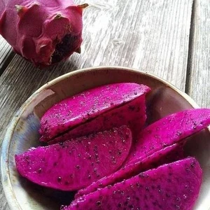 Berke Fidancılık Phılıppınes Purple (Özel Tür) Ejder Meyvesi Pitaya Fidanı