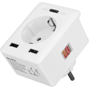 Swapp SL-04 10A Akım Korumalı Akıllı Priz 2 USB 2.4 Ghz Wifi TUYA Destekli