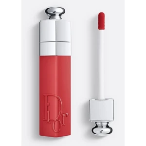 Addict Lip Tint - 651 Natural Rose