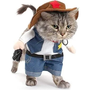 Sonbahar ve Kış Denim Kedi Kıyafeti + Şapka (Yurt Dışından)
