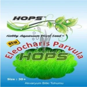 Canlı Petshop Hops Akvaryum Için Canlı Bitki Tohumu Parvula
