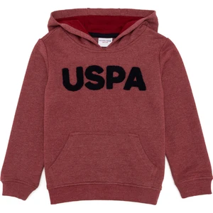 U.S. Polo Assn. Erkek Çocuk Vişne Sweatshirt 50253475-VR223