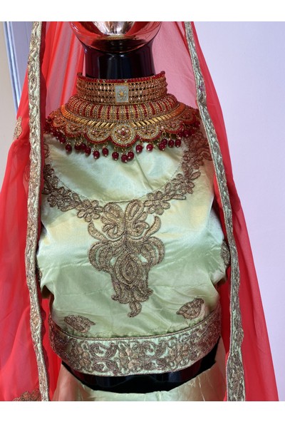 Aashiv's Collection Lehenga Kına Elbisesi Kaftan