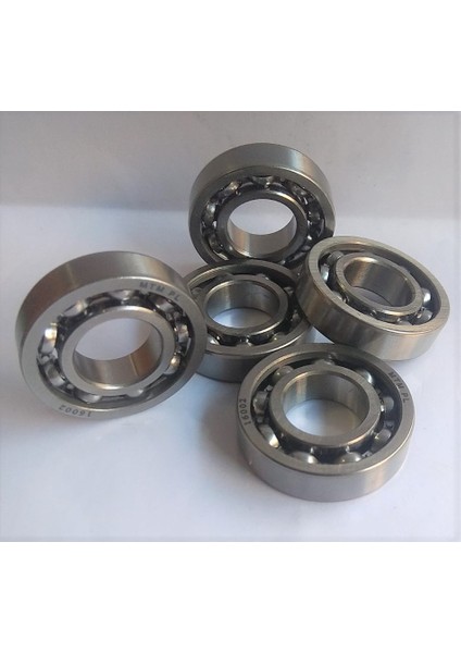 16002 Rulman 5 Adet