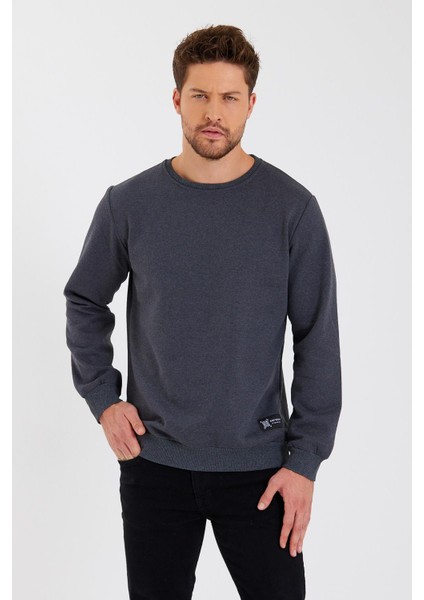 Antrasit Bisiklet Yaka Etiket Detaylı Içi Pamuklu Erkek Sweatshirt