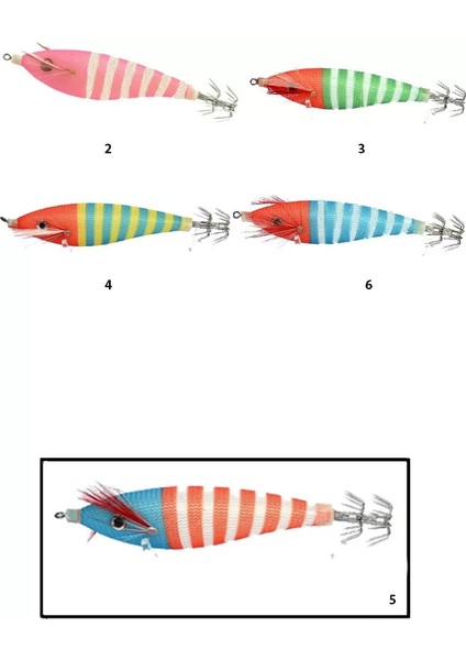 3004 Kalamar Zokası 8cm Zebra Squid 5