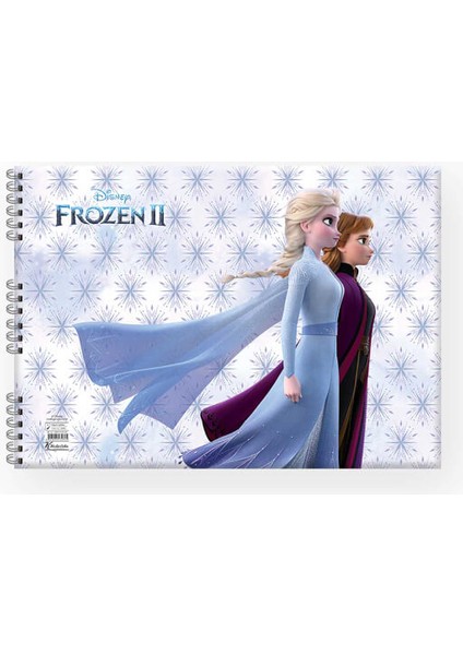 Frozen Resim Defteri 25 x 35 Cm. 15 Yaprak fiyatları