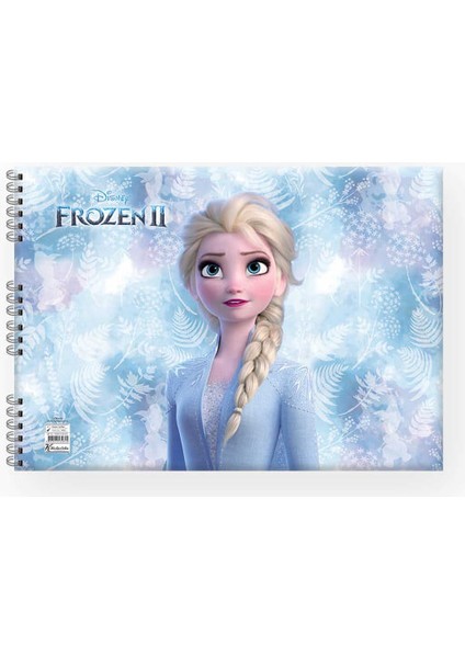 Frozen Resim Defteri 25 x 35 Cm. 15 Yaprak modelleri