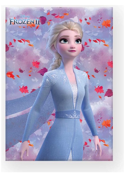 Frozen Çizgili Defter A4 40 Yaprak