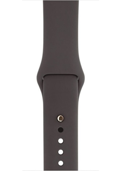 Apple Watch Uyumlu 3 4 5 6 7 8 Se Delikli 38 40 41MM Kordon Kayış Bileklik Klasik Silikon