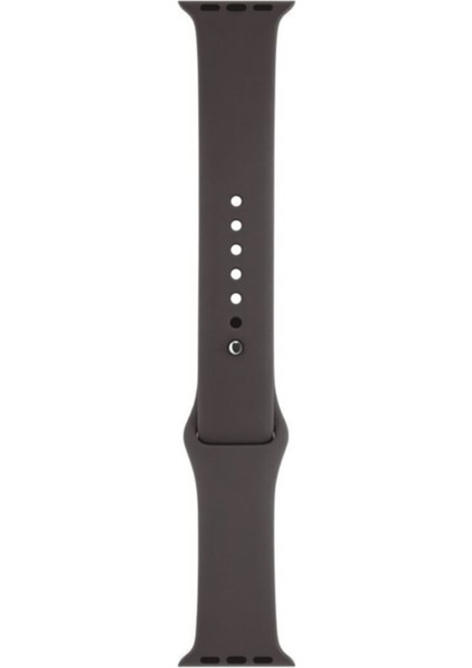 Apple Watch Uyumlu 3 4 5 6 7 8 Se Delikli 38 40 41MM Kordon Kayış Bileklik Klasik Silikon