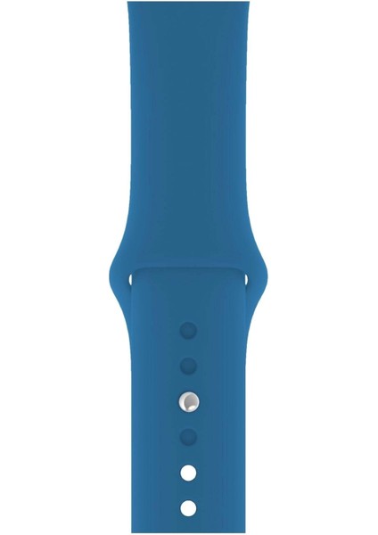 Apple Watch Uyumlu 3 4 5 6 7 8 Se Delikli 38 40 41MM Kordon Kayış Bileklik Klasik Silikon