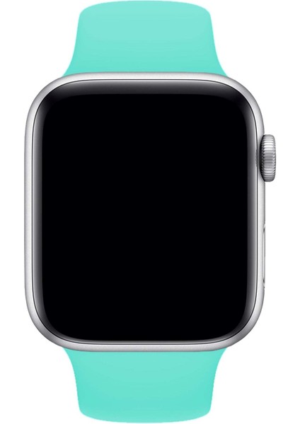 Apple Watch Uyumlu 3 4 5 6 7 8 Se Delikli 38 40 41MM Kordon Kayış Bileklik Klasik Silikon fırsatları