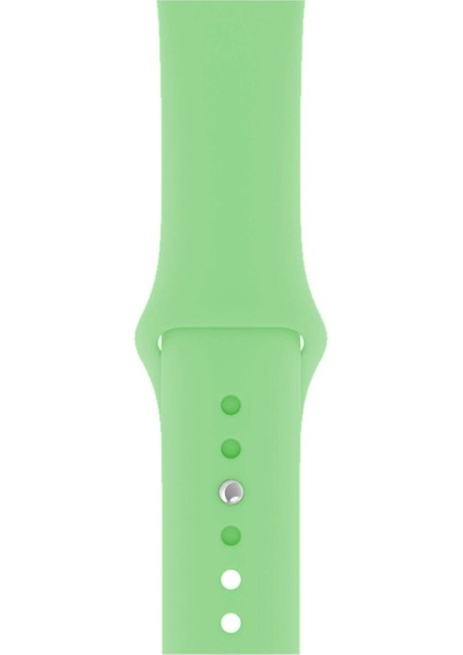 Apple Watch Uyumlu 3 4 5 6 7 8 Se Delikli 38 40 41MM Kordon Kayış Bileklik Klasik Silikon