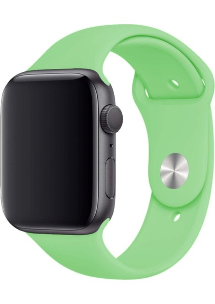 Apple Watch Uyumlu 3 4 5 6 7 8 Se Delikli 38 40 41MM Kordon Kayış Bileklik Klasik Silikon
