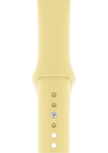 Apple Watch Uyumlu 3 4 5 6 7 8 Se Delikli 42 44 45MM Kordon Kayış Bileklik Klasik Silikon