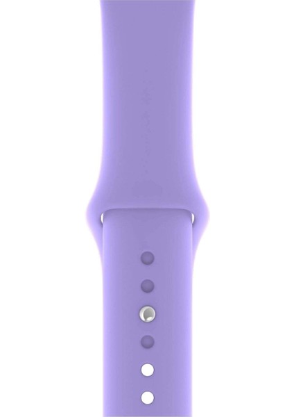 Apple Watch Uyumlu 3 4 5 6 7 8 Se Delikli 42 44 45MM Kordon Kayış Bileklik Klasik Silikon