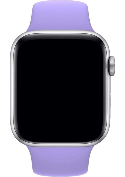Apple Watch Uyumlu 3 4 5 6 7 8 Se Delikli 42 44 45MM Kordon Kayış Bileklik Klasik Silikon fırsatları