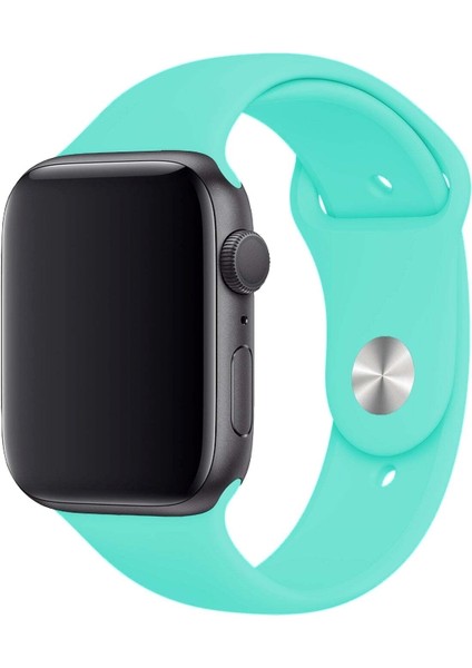 Apple Watch Uyumlu 3 4 5 6 7 8 Se Delikli 42 44 45MM Kordon Kayış Bileklik Klasik Silikon modelleri