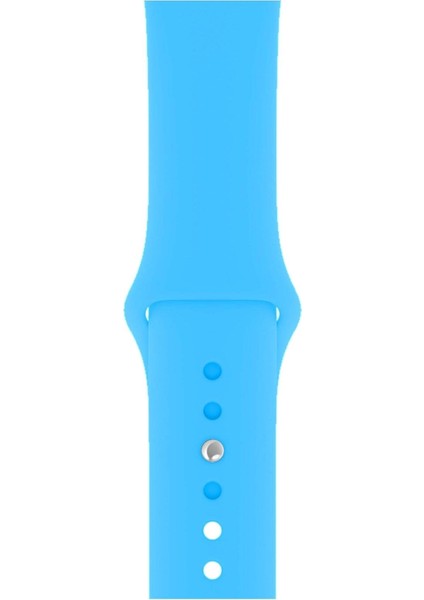 Apple Watch Uyumlu 3 4 5 6 7 8 Se Delikli 42 44 45MM Kordon Kayış Bileklik Klasik Silikon